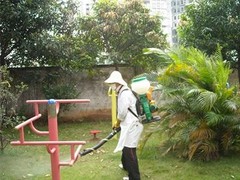 绵阳灭鼠公司