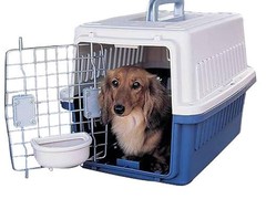 银川宠物空运公司