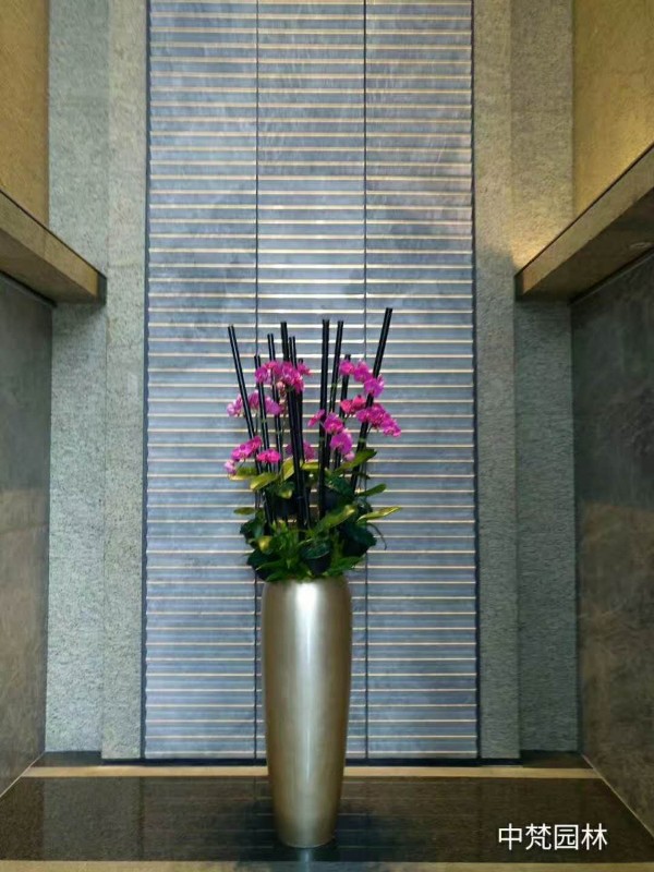 专业办公室绿植租摆园林绿化室内景观设计