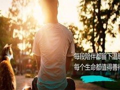 北京宠物火化