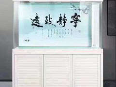 北京鱼缸维护