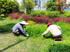 西安园林设计公司