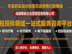 成都标书代写-成都代做标书