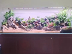 北京鱼缸维护