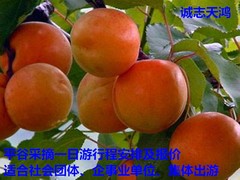 誠志天鴻