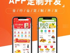 临沂系统开发公司