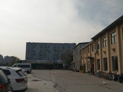 河南大果转租网1