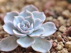 北京心想事成文化礼品公司