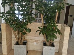 新阳光礼品