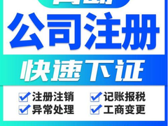青岛公司减资