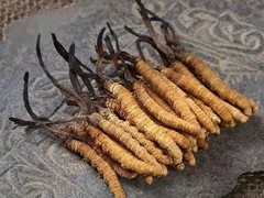 茅台酒回收