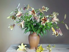 海口滨江鲜花绿植园圃