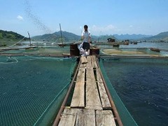 农林牧渔业评估鉴定