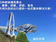 誠志天鴻