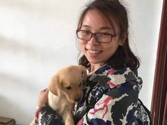上海普陀区宠物救助领养收养收容中心