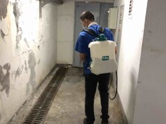 内江灭白蚁公司