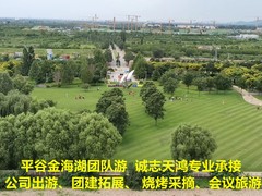 誠志天鴻
