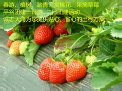誠志天鴻