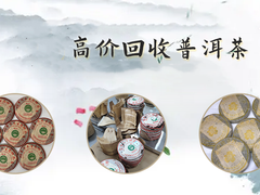 中山回收大益茶