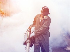 泉州杀虫灭鼠公司