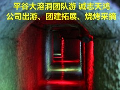 誠志天鴻