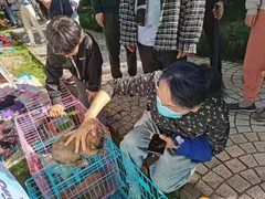 上海闵行区宠物流浪狗流浪猫小动物救助领养收容收养中心站