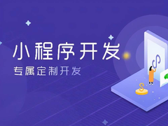 宁波系统开发公司