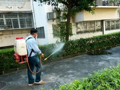 大理灭跳蚤公司
