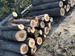 沈阳园林设计公司