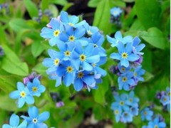 威海园林公司