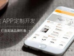 邯郸系统开发公司