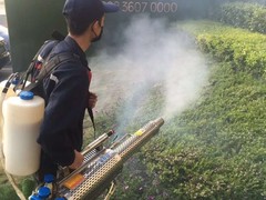 邛崃灭鼠公司-仁寿灭白蚁公司-郫都区灭鼠公司