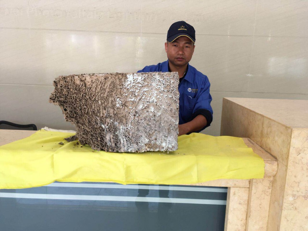 东莞灭白蚁公司东莞白蚁防治就选春华公司