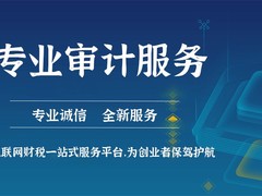 嘉兴验资审计代理