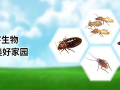 淄博杀虫灭鼠公司