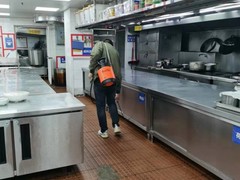 绵阳灭鼠公司