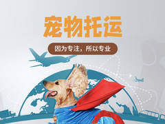 惠州宠物托运