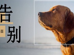 思慕宠物火化宠物殡葬服务中心
