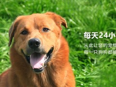 北京宠物火化