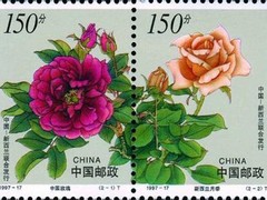 东方红收藏