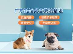 广东铃铛犬舍繁殖基地