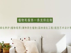 沈阳盆栽