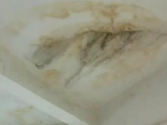 屋顶漏水维修公司