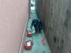 绵阳灭鼠公司