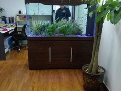 21世纪鱼缸水族维护公司