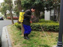 绵阳灭鼠公司
