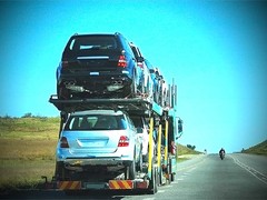 金百顺运车