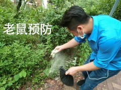 绵阳灭鼠公司
