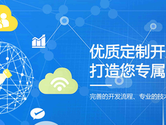 邯郸系统开发公司