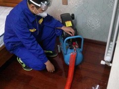 皇苹果除甲醛公司
